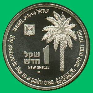 Leopard Silver Coin